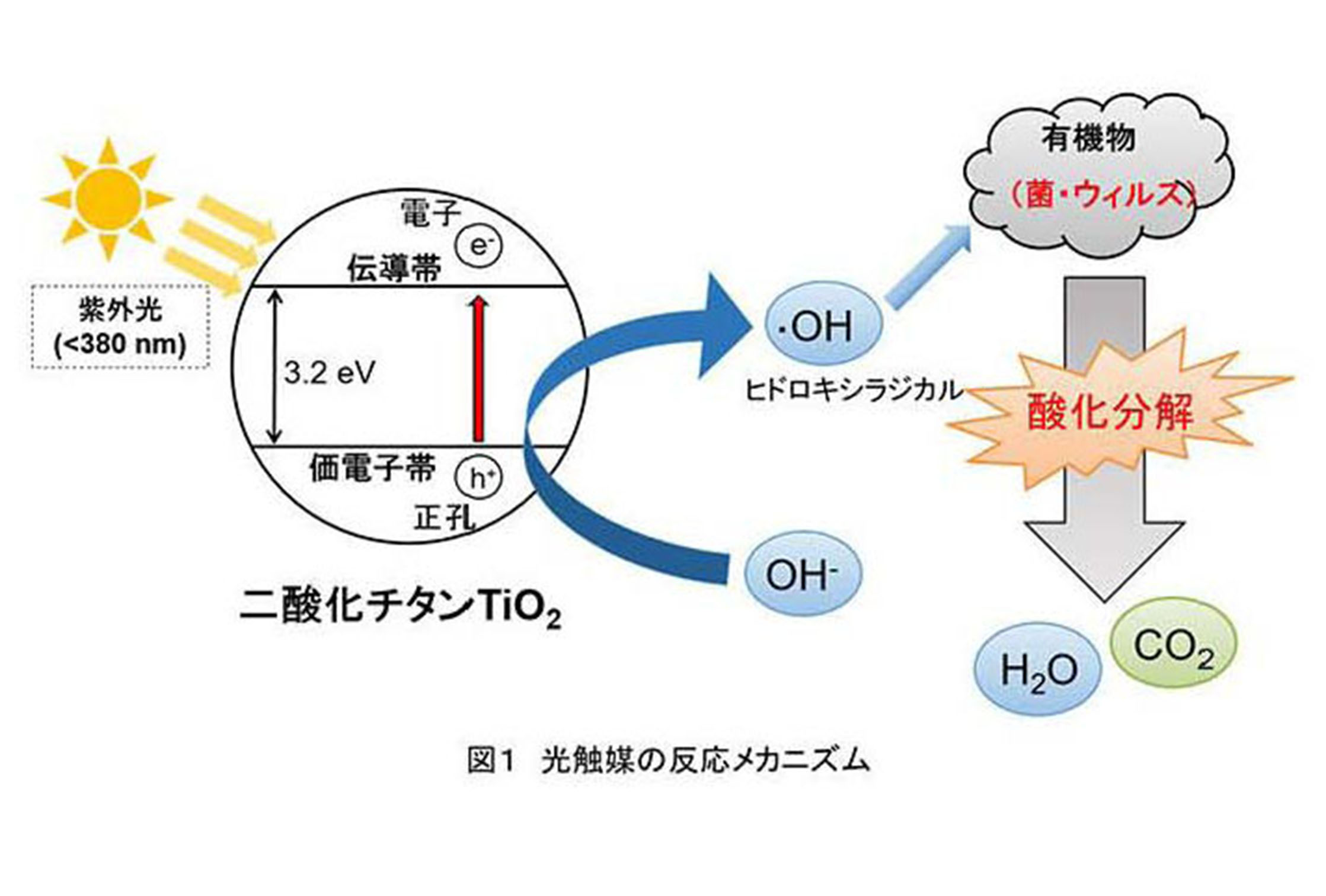 光触媒の反応メカニズム